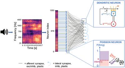 Modeling the Repetition-Based Recovering of Acoustic and Visual Sources With Dendritic Neurons